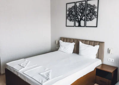 Ð¡Ñ‚Ð°Ñ Ð”ÐµÐ»ÑƒÐºÑ Ð¥Ð¾Ñ‚ÐµÐ» Ð¡Ñ€ÐµÐ±ÑŠÑ€Ð½Ð¾ ÐµÐ·ÐµÑ€Ð¾ Ð¡Ñ‚Ð°Ñ€Ð° Ð—Ð°Ð³Ð¾Ñ€Ð°